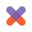 Wild Stripes logo